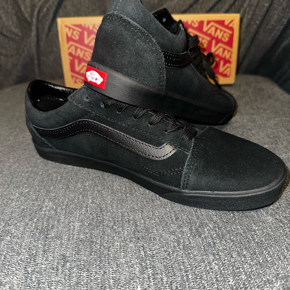 Vans Black Low-Top Suede Skate Sneakers